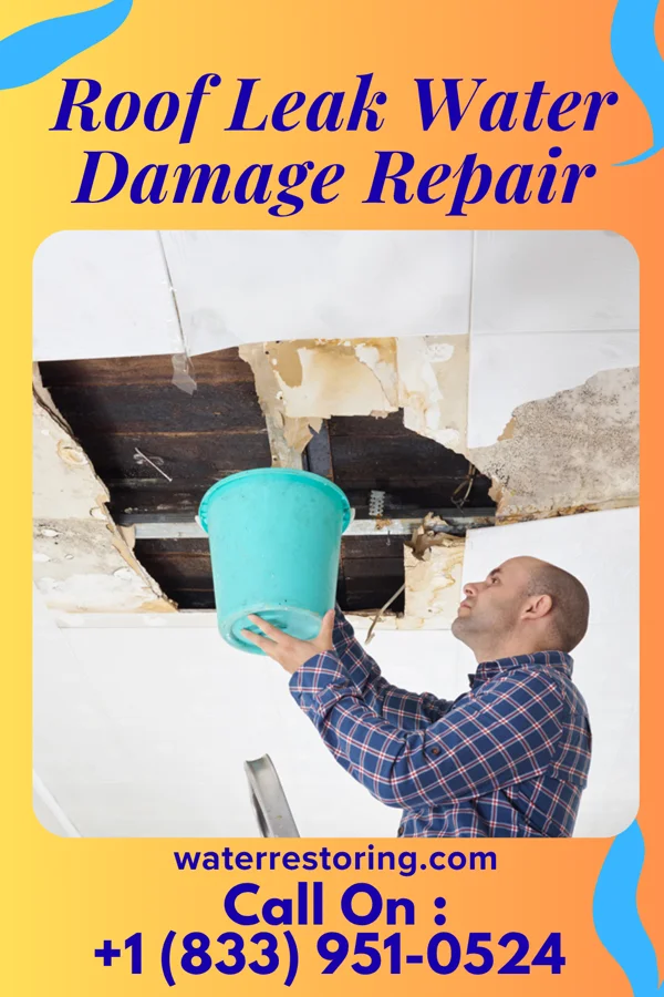 Roof Leak Water Damage Repair in Lake Mary Jane, FL